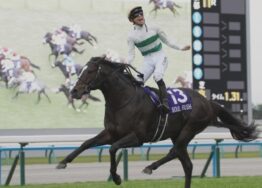 24-11-17-mairucs-soul