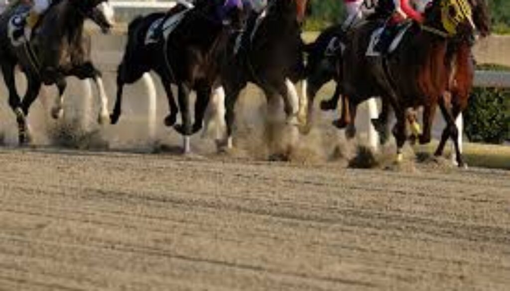 AdobeStock_303833408