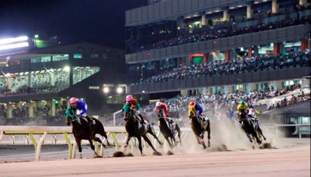 SnapCrab_NoName_2025-6-11_1-38-24_No-00