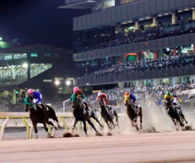 SnapCrab_NoName_2025-6-11_1-38-24_No-00