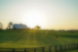 pexels-brandon-randolph-2042161-1