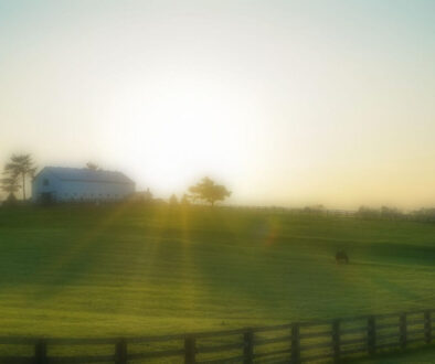 pexels-brandon-randolph-2042161-1