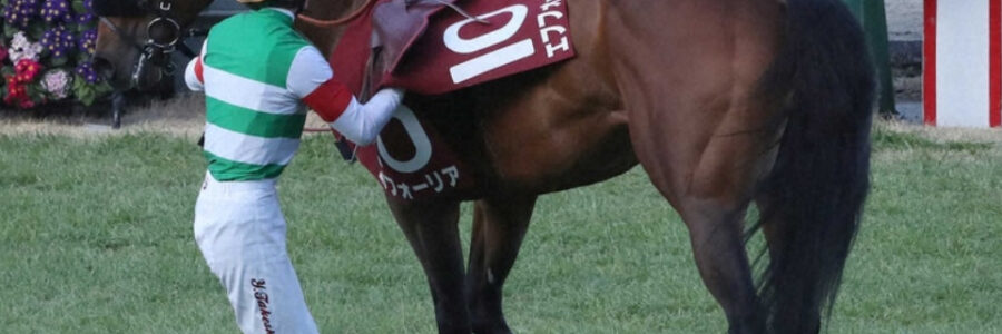 最近のダートレースはスローが多い・・・