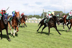 niigatakeiba-新潟競馬
