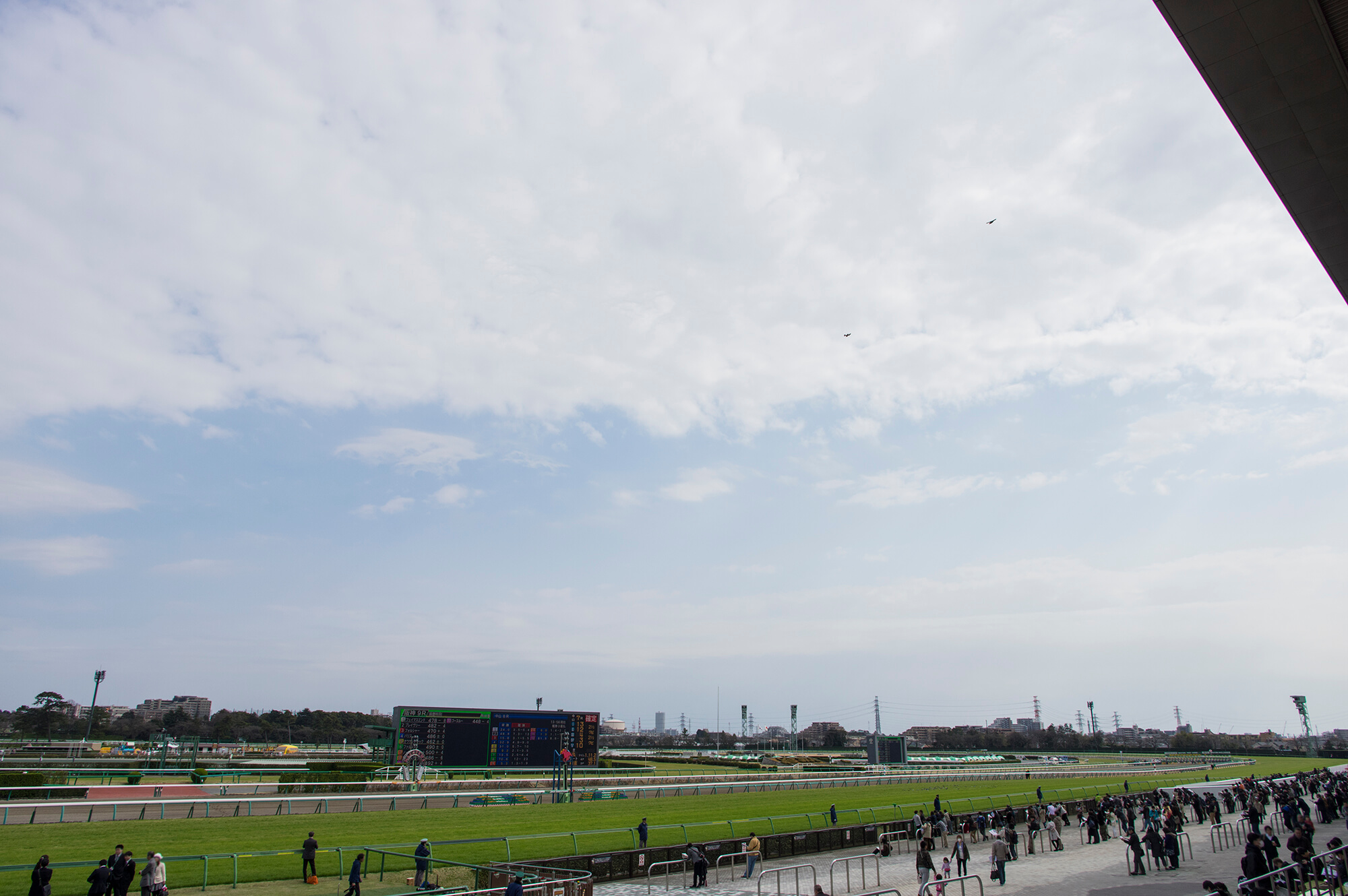 2023年4月29日（土）注目馬☆推薦馬＆参考買い目