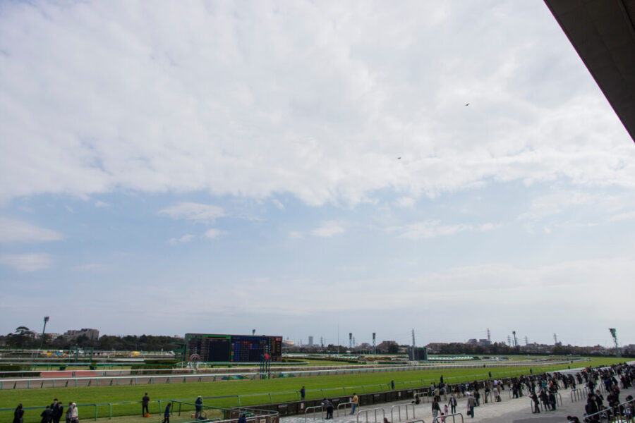 2022年11月6日（日）注目馬☆推薦馬＆参考買い目