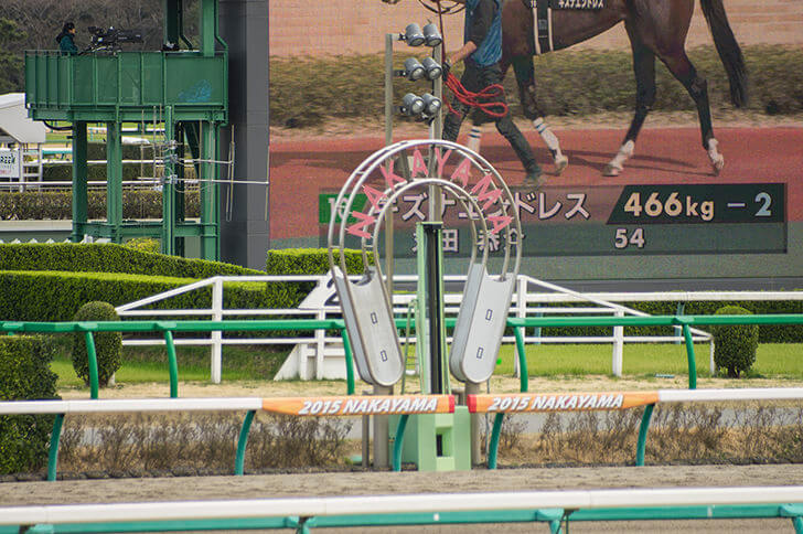 2021年11月6日（土）注目馬☆推薦馬＆参考買い目