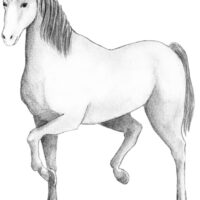 2150035-scaled-1