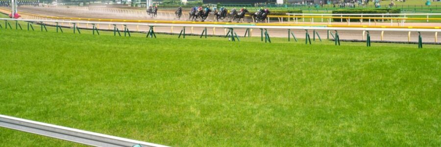 フェブラリーステークス（GI)　総合指数表（枠確定前）