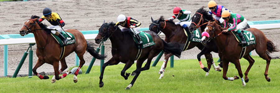 2024年3月2日（土）■中山■注目馬☆推薦馬＆参考買い目