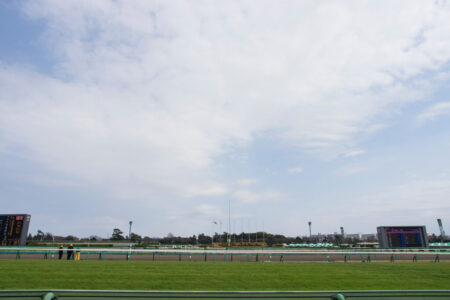 2025年4月6日（日）注目馬☆推薦馬＆参考買い目