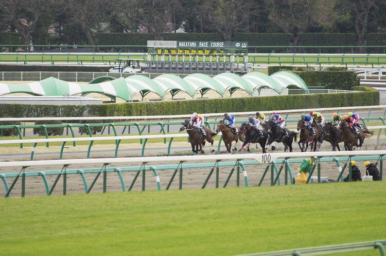 今更フェブラリーステークスを振り返り・・・（2022年2月20日）