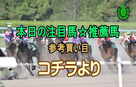 本日の他のレースの注目馬☆推薦馬＆参考買い目