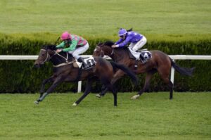 horse-racing-1577292_1280-2