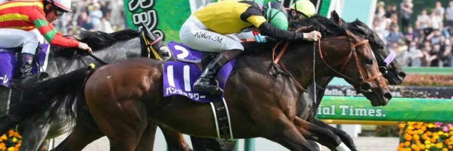 NHKマイルCから得たもの・・・【2025/5/11/東京競馬】