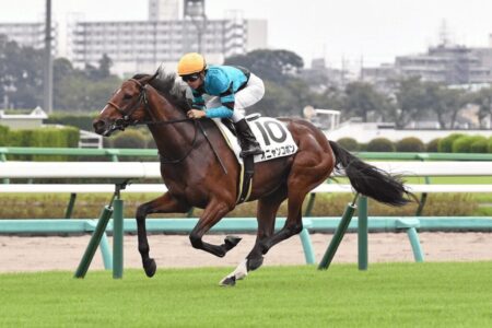 オニャンコポンは元気！＆【会員案内】