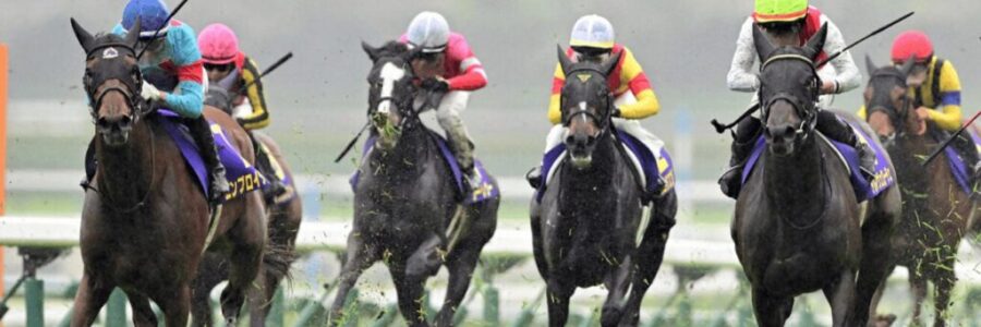 桜花賞を終えて・・・【2025/4/13/阪神競馬】