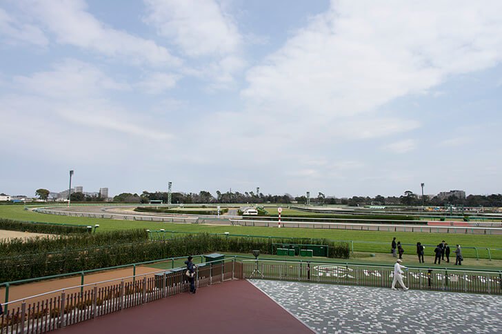 2024年5月１９日（日）注目馬☆推薦馬＆参考買い目