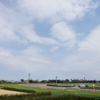photo0000-4226