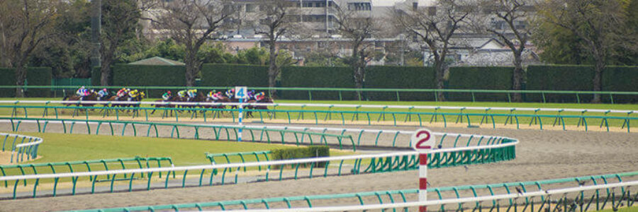 2025年4月6日（日）■大阪杯■総合指数表■注目馬/参考買い目■