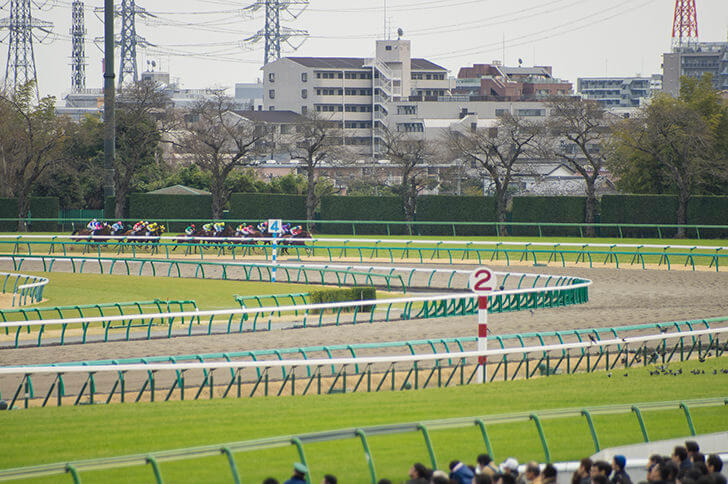 2024年3月17日（日）注目馬☆推薦馬＆参考買い目