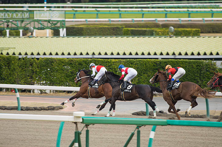 2023年7月12日（水）ジャパンダートダービー（大井）