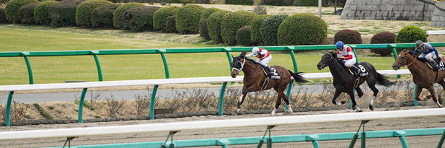 2022年5月22日（日）注目馬☆推薦馬＆参考買い目