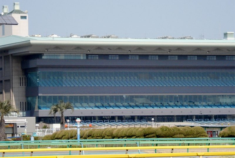 フェブラリーステークス■総合指数表（前日）＆参考買い目