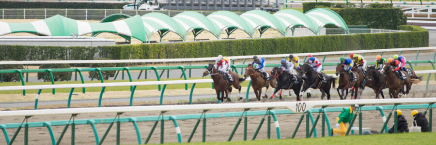 2026年2月15日（日）注目馬☆推薦馬＆参考買い目