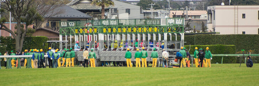 2026年2月1日（日）注目馬☆推薦馬＆参考買い目