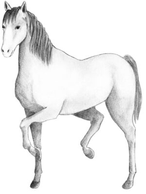 2150035-scaled