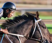 2026年5月2日（土）注目馬☆推薦馬＆参考買い目