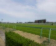 2026年5月3日（日）注目馬☆推薦馬＆参考買い目